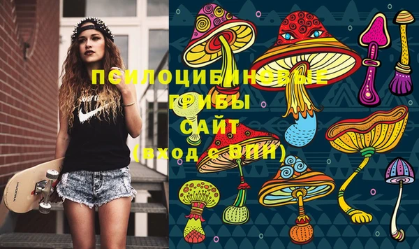 ешки Аркадак