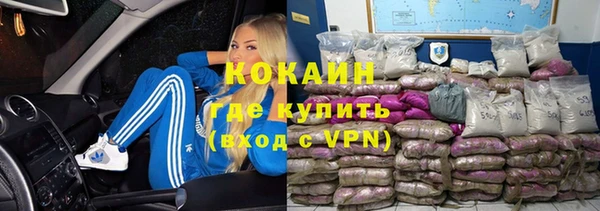 ешки Аркадак
