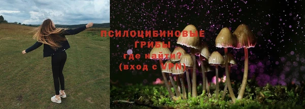 ешки Аркадак