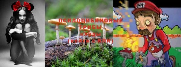 PSILOCYBIN Арсеньев