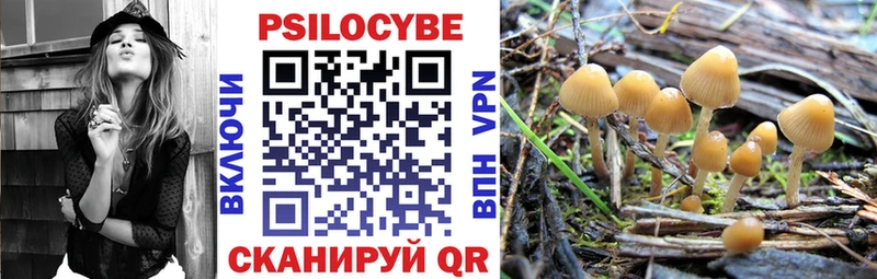 Псилоцибиновые грибы Psilocybine cubensis  Ярцево 